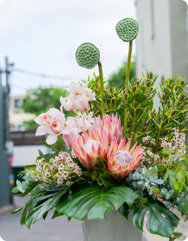 Outdoor floral display with pink proteas, white orchids, and unique green pods in a street-side vase.