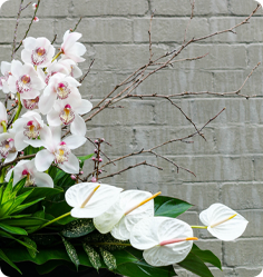 Elegant floral arrangement with white orchids and white anthurium leaves against a grey brick wall.
