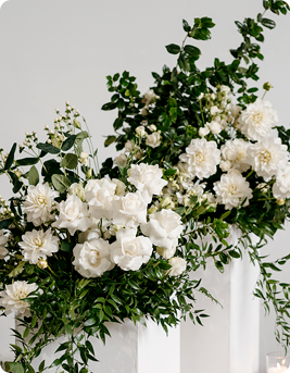 Tall white pedestals topped with lush white roses and greenery in a refined wedding setting.