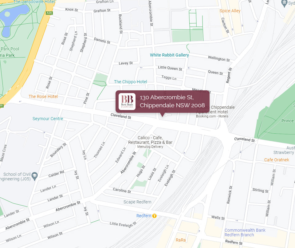 Map showing the location of 130 Abercrombie St, Chippendale NSW 2008.