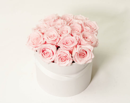 Preserved pink roses in hatbox