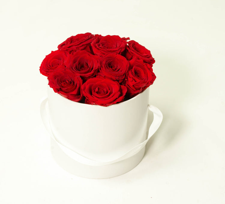 Preserved red roses in hatbox