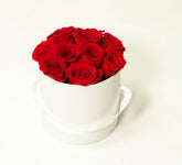 Preserved red roses in hatbox 