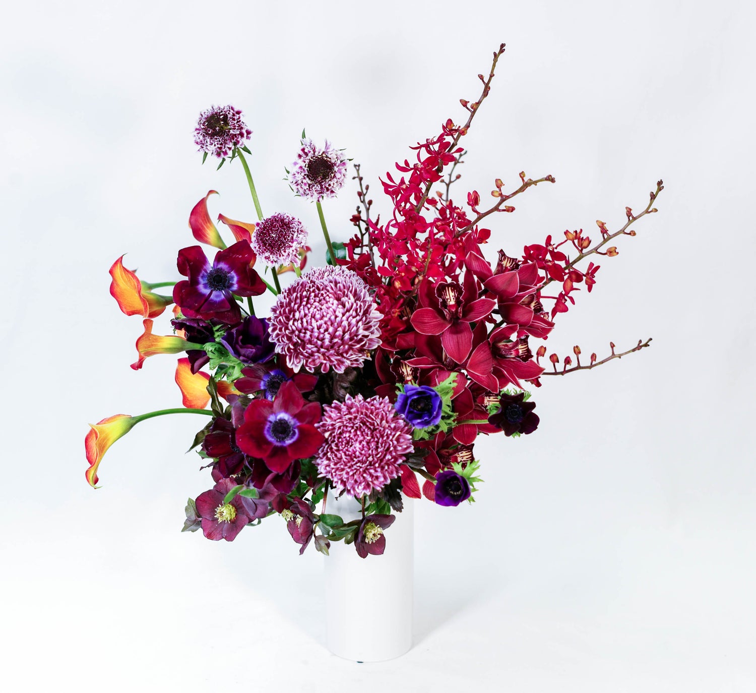 Jewel is a selection of flowers from the Sydney grower